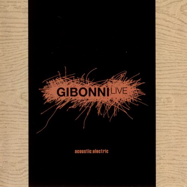 Gibonni - Live (Acoustic-Electric) (2007).jpg
