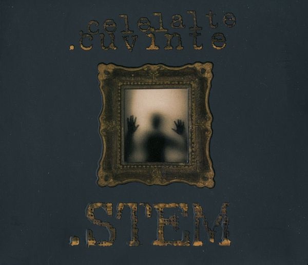 Celelalte Cuvinte - Stem (2008).jpg