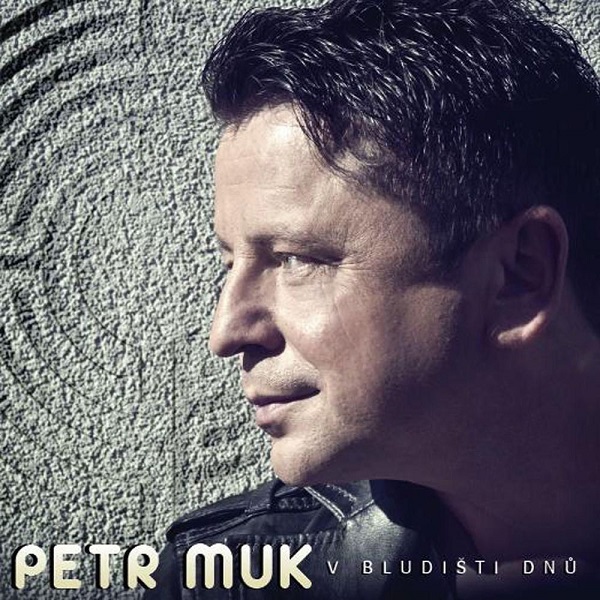 Petr Muk - V bludišti dnů (2010).jpg