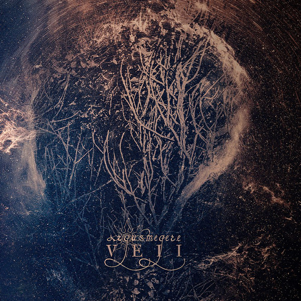 Argus Megere - VEII (2017).jpg