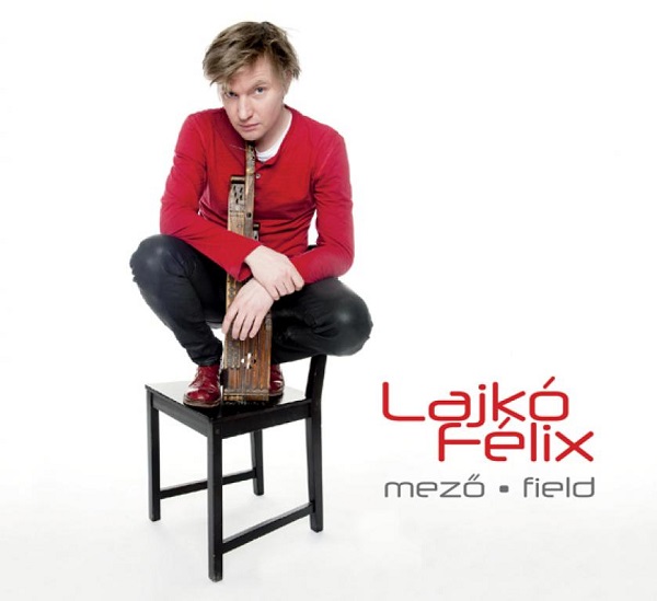 Lajkó Félix - Mező (Field) (2013).jpg