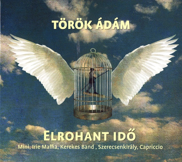 Török Ádám - Elrohant idő (2013).jpg