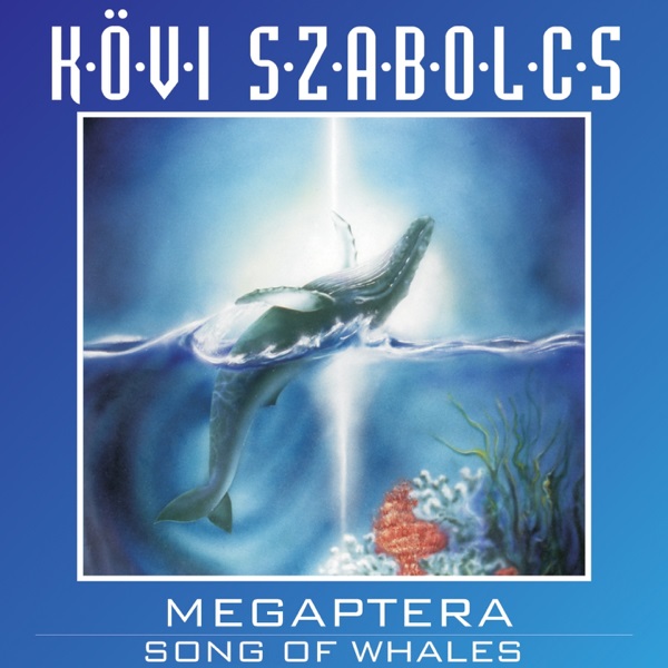 Kövi Szabolcs - Megaptera (A bálna éneke) (1996).jpg